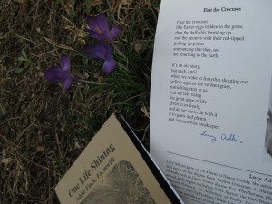 lucy adkin's chapbook & calendar poem